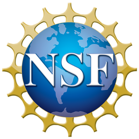 nsf 4 color bitmap logo