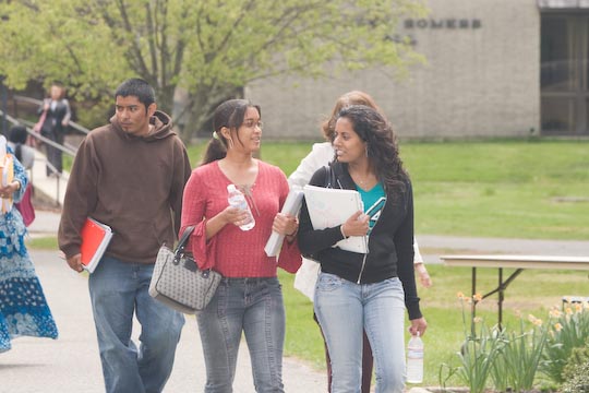 a group of students walking in the quad