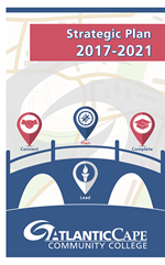 Strategic plan button
