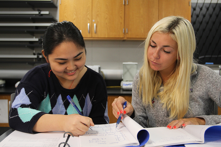 Student receiving tutoring help.