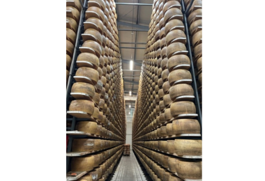 Stacks of aging Parmigiana Reggiano